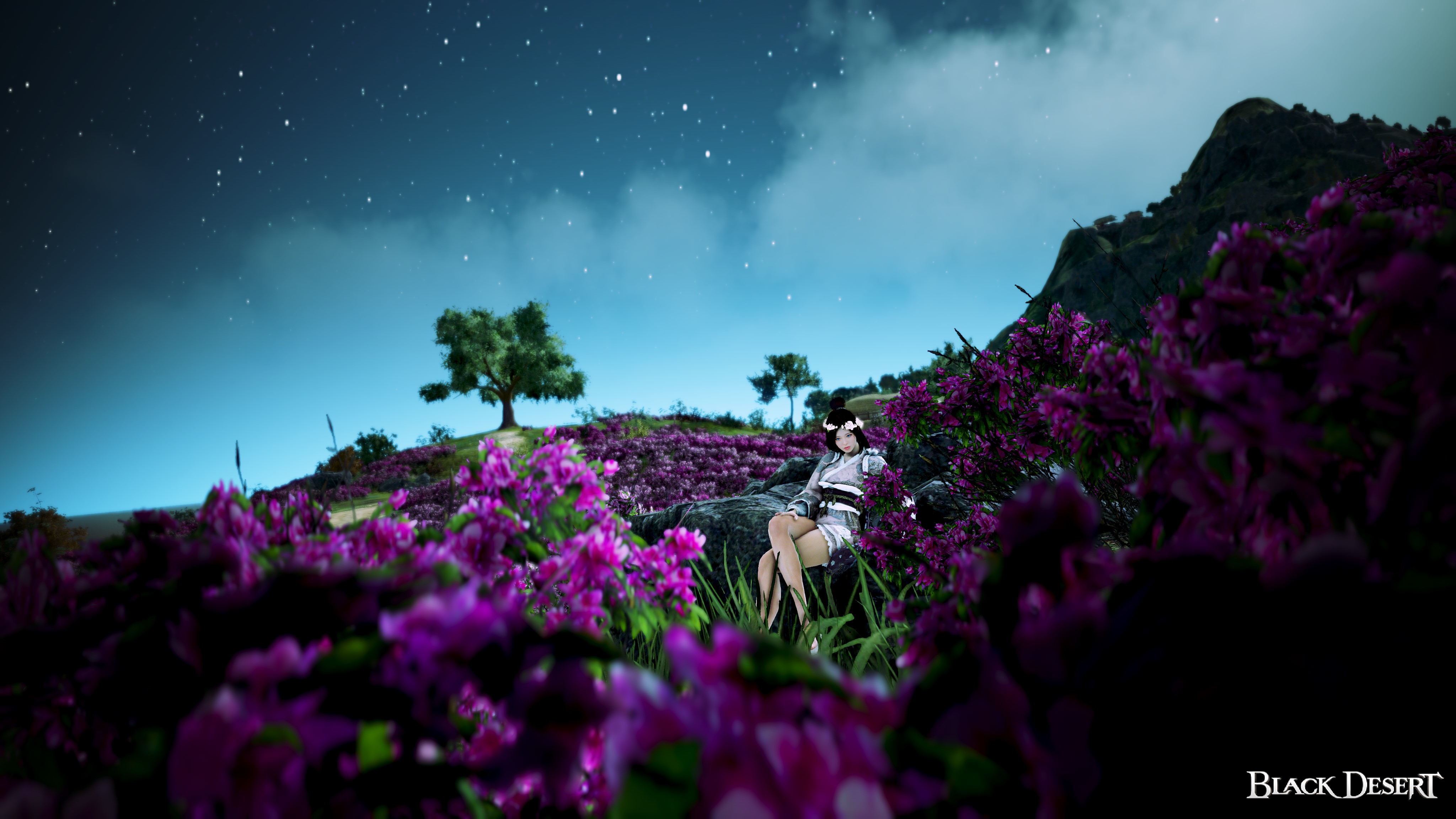 [Event] [BDO Calendar - Spring][EU] Season of the Blooming Love | Black ...
