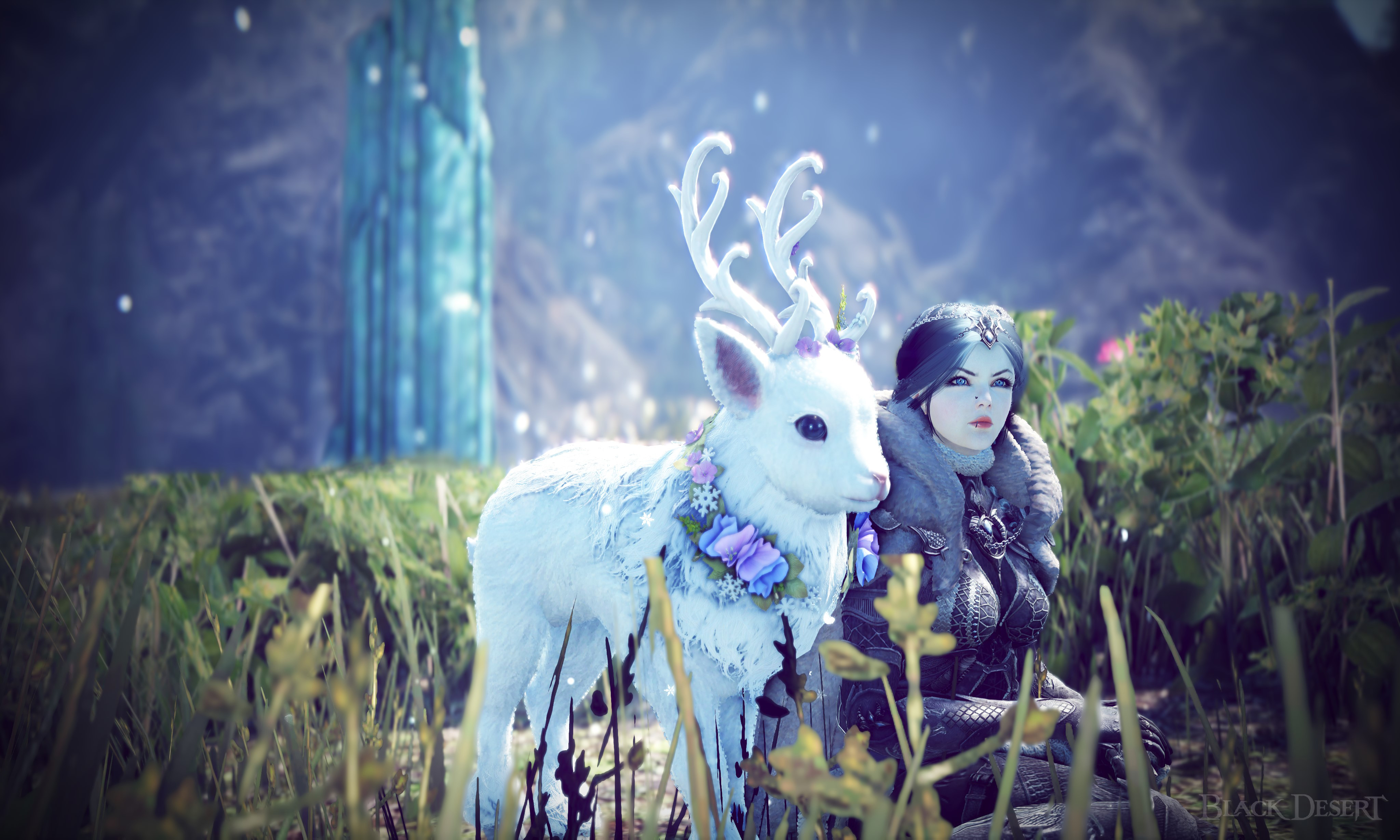 [Event] [BDO Calendar - Winter][EU] Winter ️ | Black Desert NA/EU