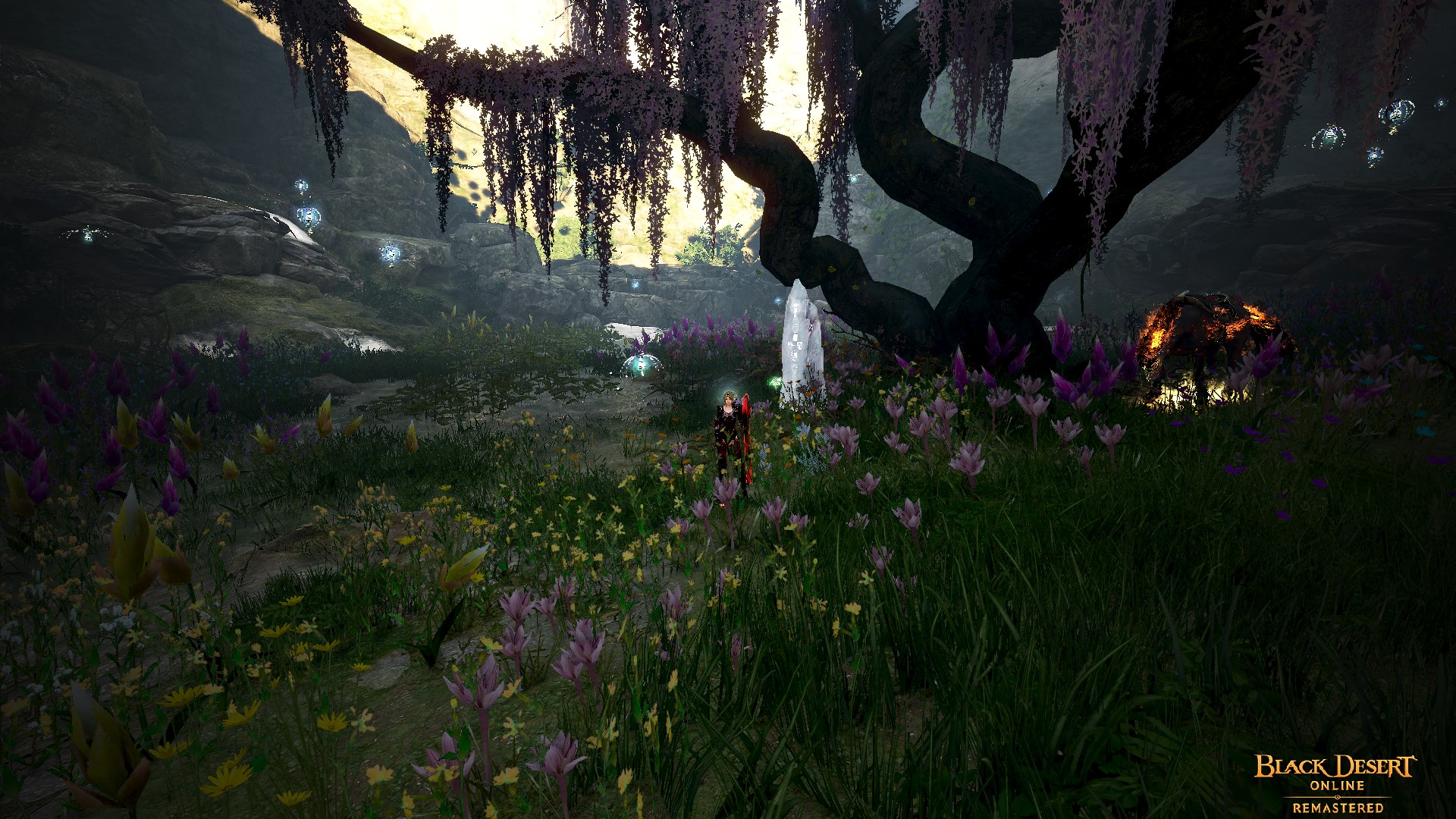 [Event] [Mine][EU] Favorite NPCYianaros Rock Black Desert NA/EU/OC