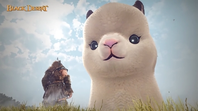 The Llama invasion has begun!