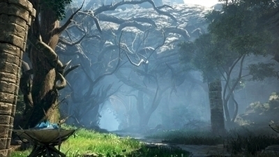 Notice Regarding Login Issues with the Black Desert Launcher