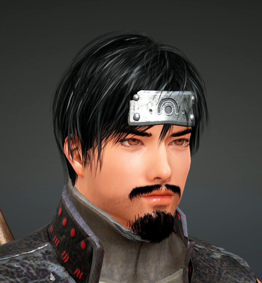 Le ninja