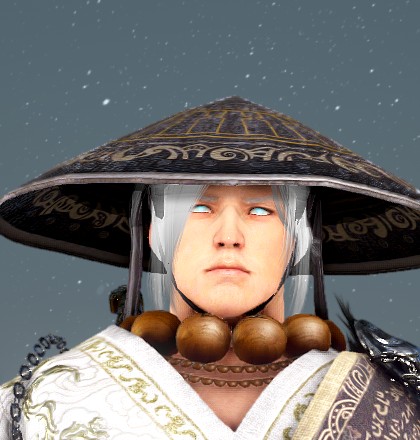 Raiden The Protector 