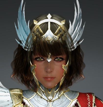 Valk pardinha