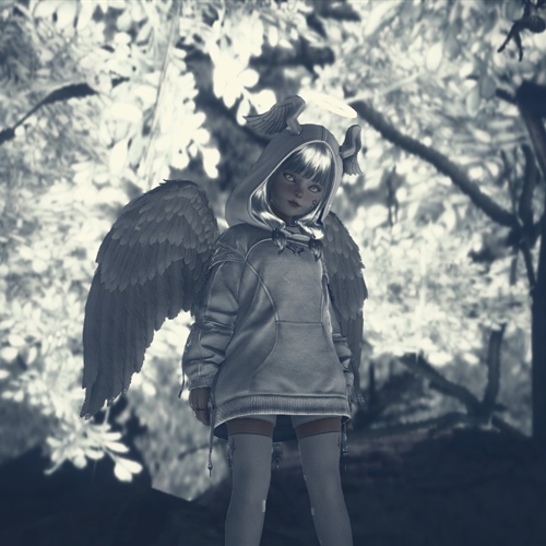 scs_1_2510290208292399_thumb