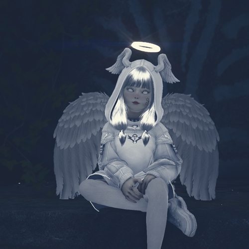 scs_1_25102902172022343_thumb