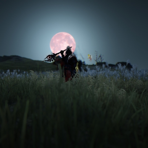 scs_1_2510301246268889_thumb