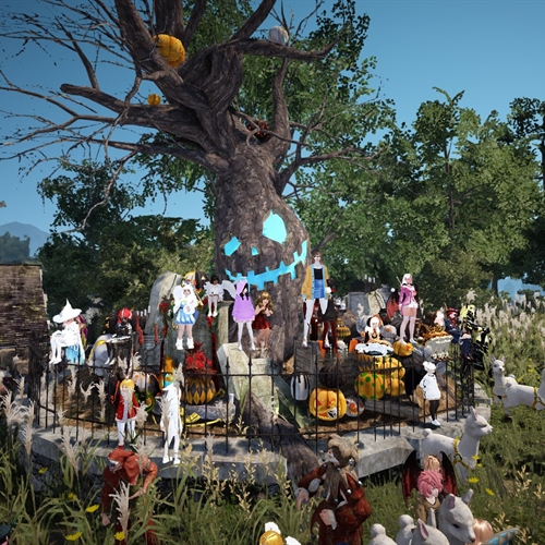 scs_1_25103110222111110_thumb