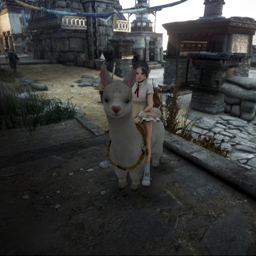 scs_1_25110104171045396_thumb