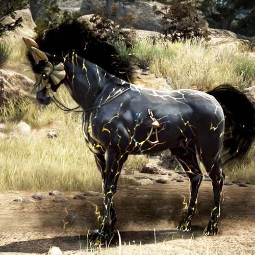 scs_1_2511300325149272_thumb