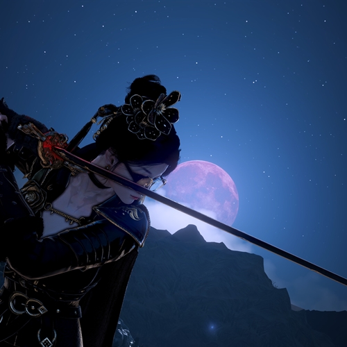 scs_1_25110509221285643_thumb