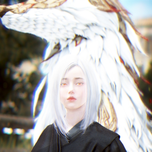 scs_1_25122207131823885_thumb