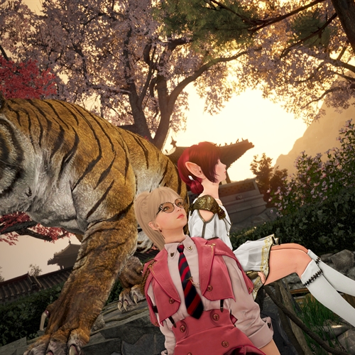 scs_1_25120801180509893_thumb