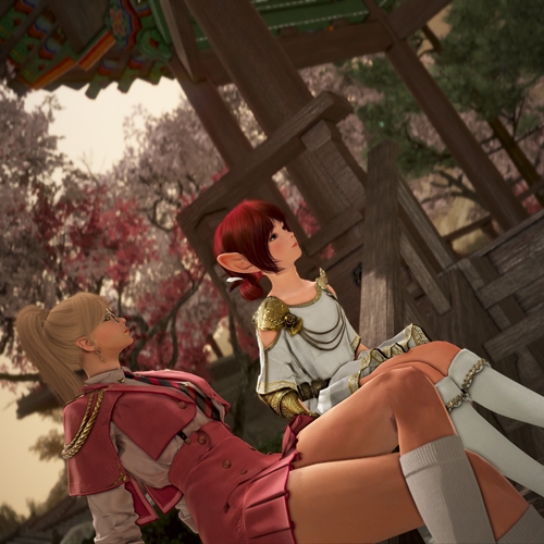 scs_1_25120812085147174_thumb