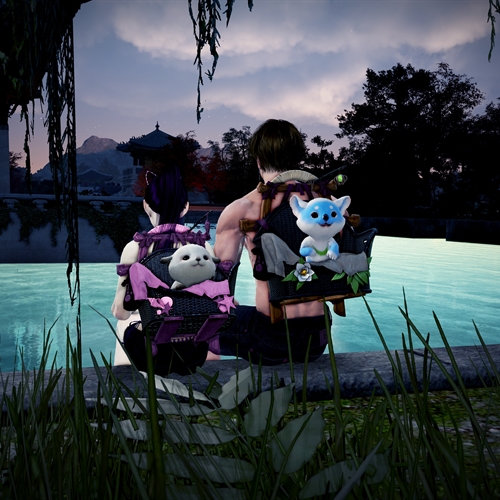 scs_5_25080107370225661_thumb