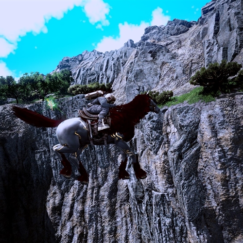 scs_1_25081501261760514_thumb