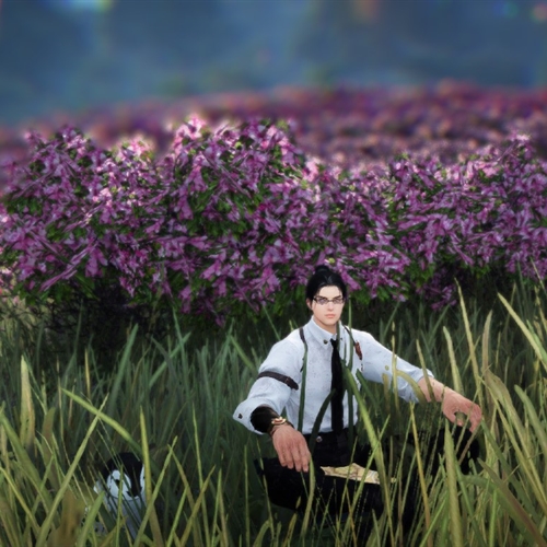 scs_1_25081706034828125_thumb