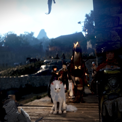 scs_1_25080201242150454_thumb