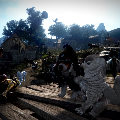 scs_1_25080201285736170_thumb