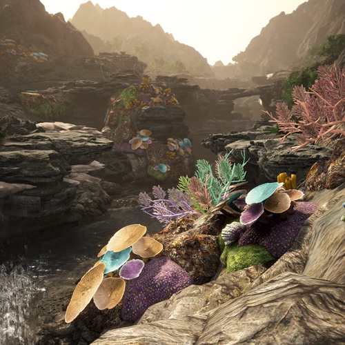 scs_2_25082407531668128_thumb