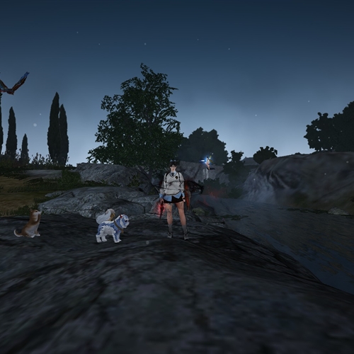 scs_1_26012101241172096_thumb