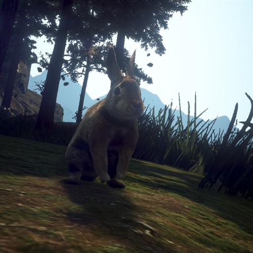 scs_1_26012111310115054_thumb