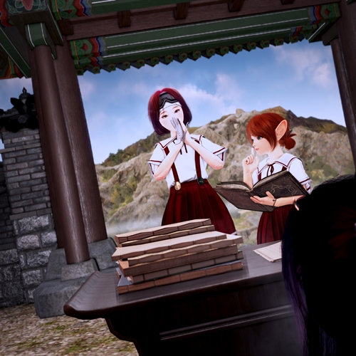 scs_1_26010311162452894_thumb