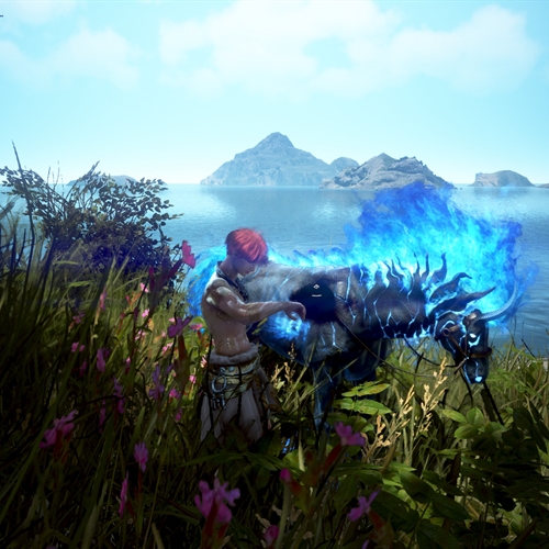 scs_1_26010902350899211_thumb