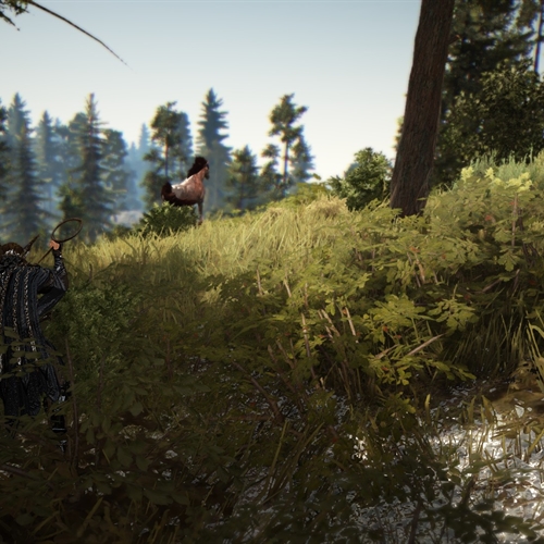 scs_1_26101002421709959_thumb
