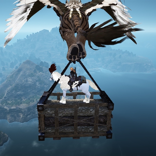 scs_3_26022506520663314_thumb