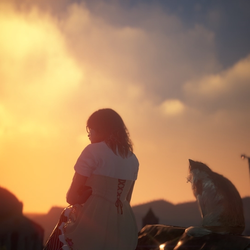 scs_1_2602030826104599_thumb