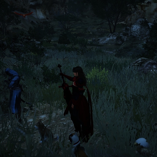 scs_1_26031908442091320_thumb