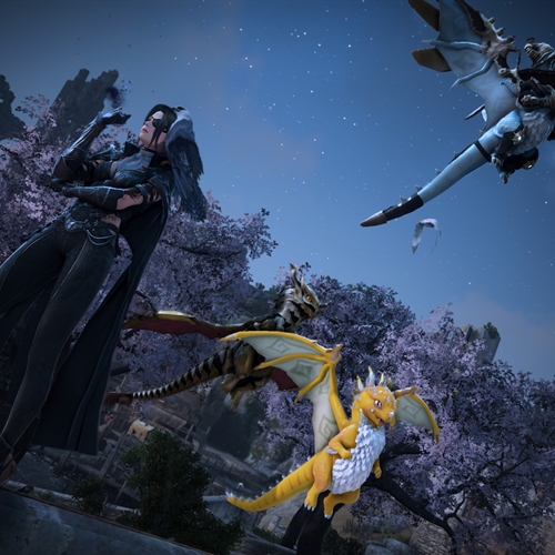 scs_6_26032010342931753_thumb