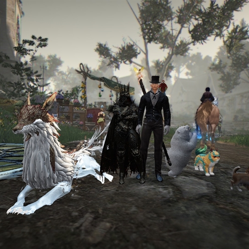 scs_1_26032311515994530_thumb