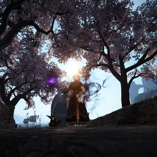 scs_2_26032601294922449_thumb