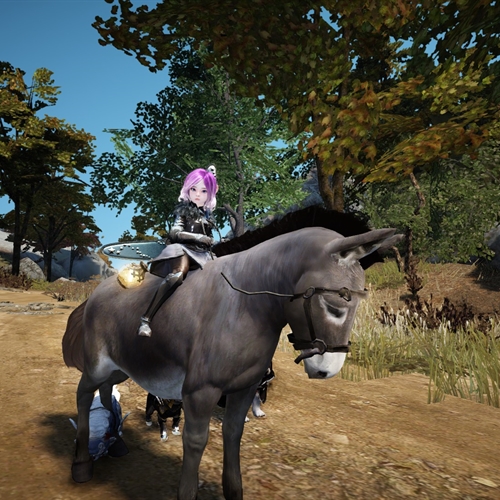 scs_1_26033006235523319_thumb