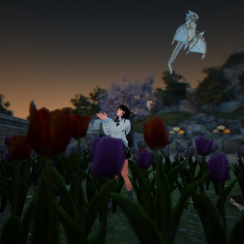 scs_1_26041112215857324_thumb