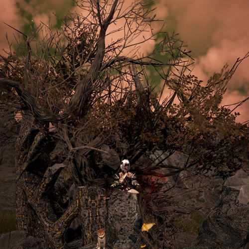 scs_1_26041407534198919_thumb