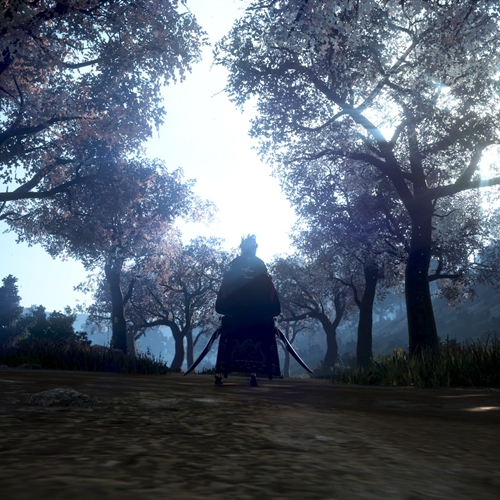 scs_3_26041609280505072_thumb