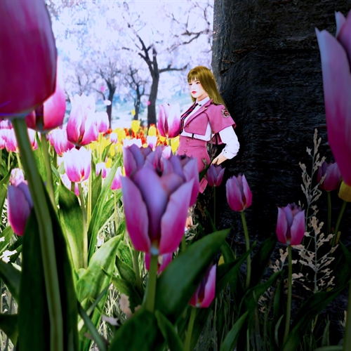 scs_5_26042310330918714_thumb