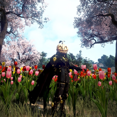 scs_1_26042809563065815_thumb