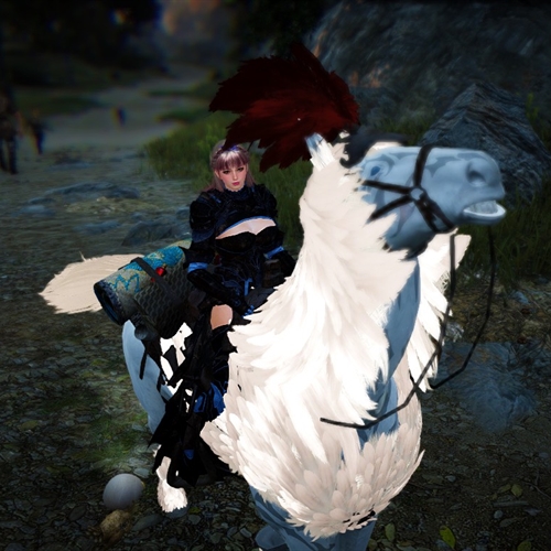 scs_1_26040404244071934_thumb