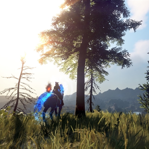 scs_1_26040907504409575_thumb