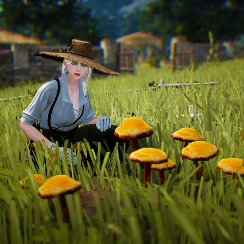 scs_1_26051002405201446_thumb