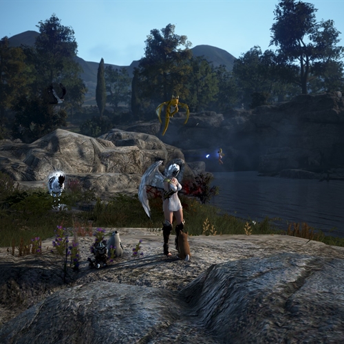 scs_1_2605050932086976_thumb