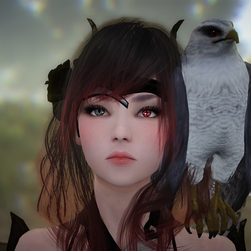 scs_1_26071309572682985_thumb