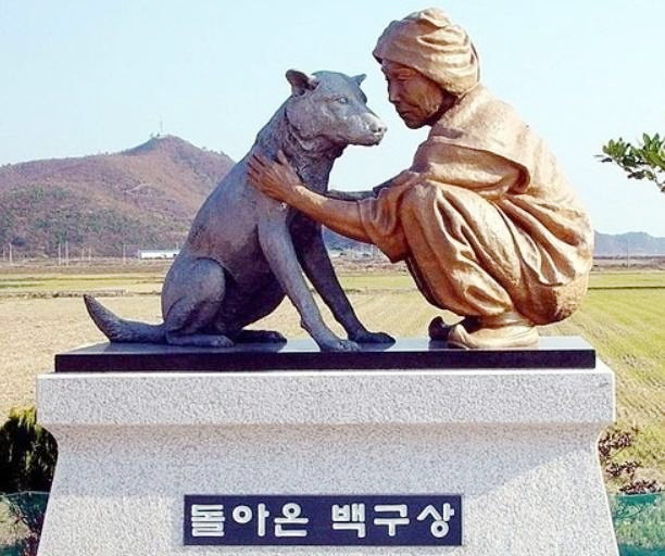 돌아온 백구