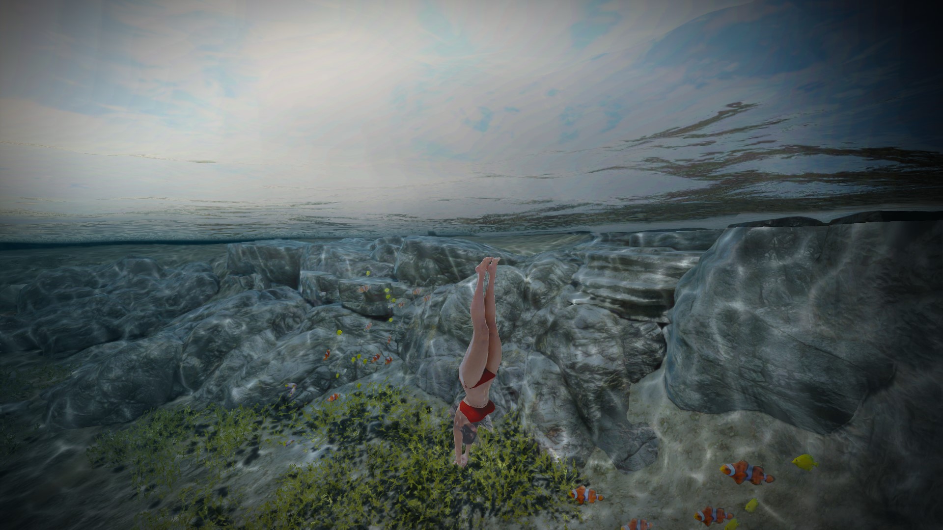 [Photo Gallery] Platform Diving