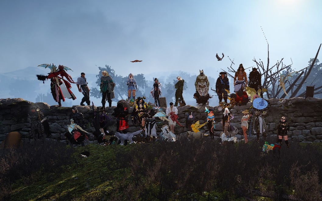 [Screenshots & Clips] [Guild] Panthers' Bonding uWu | Black Desert Asia ...