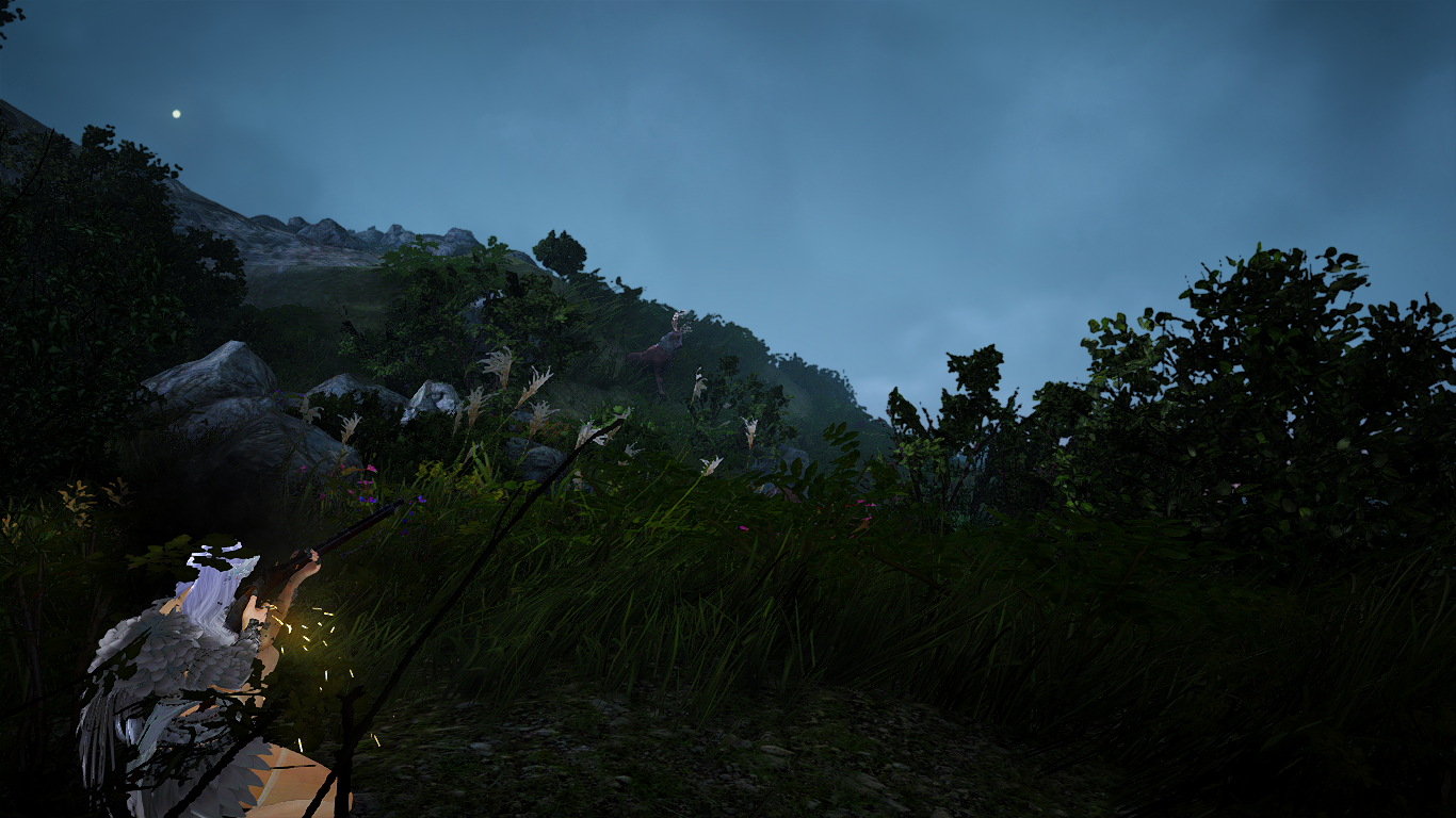 [Screenshots & Clips] [Life] Hunter's Life at Night